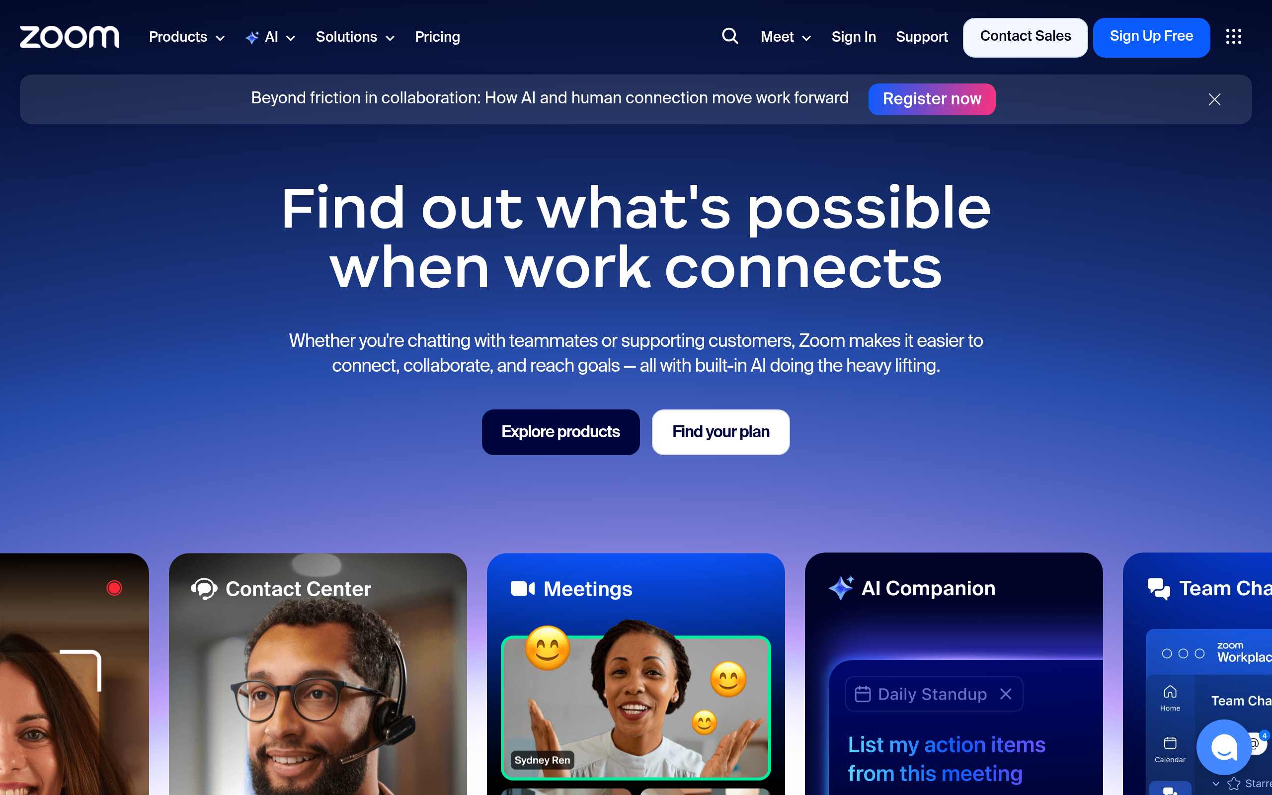 Zoom product screenshot