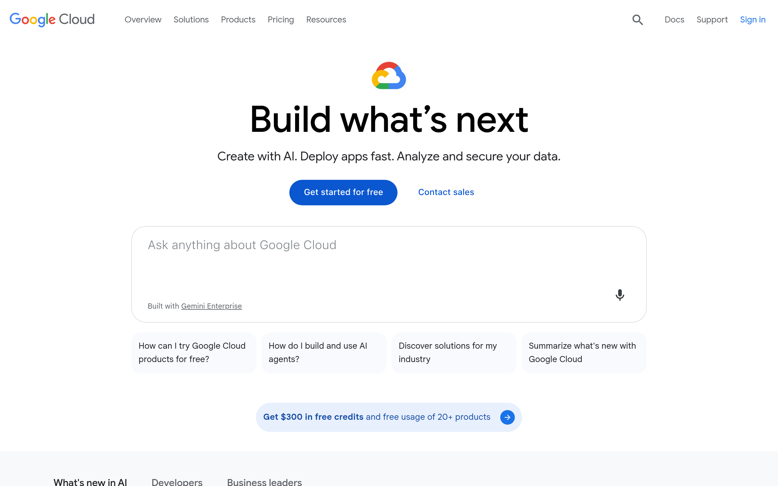 Google STT product screenshot
