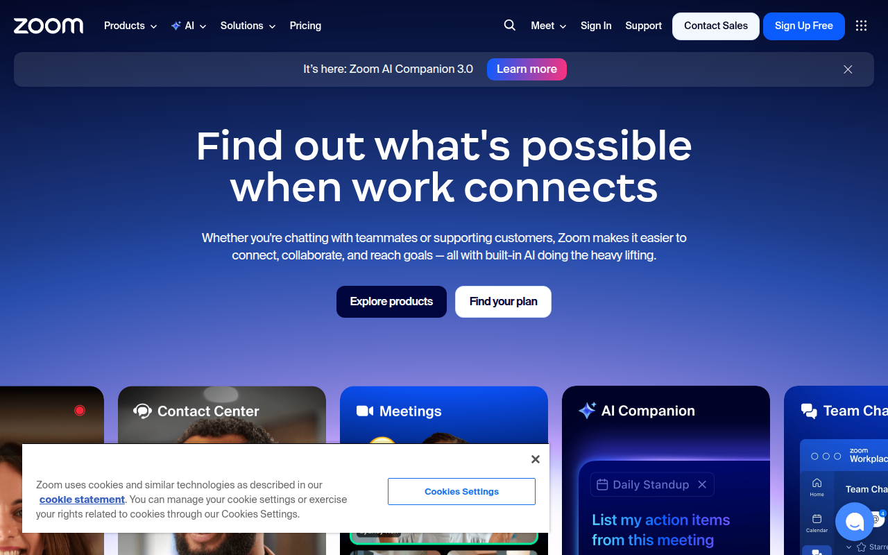 Zoom product screenshot