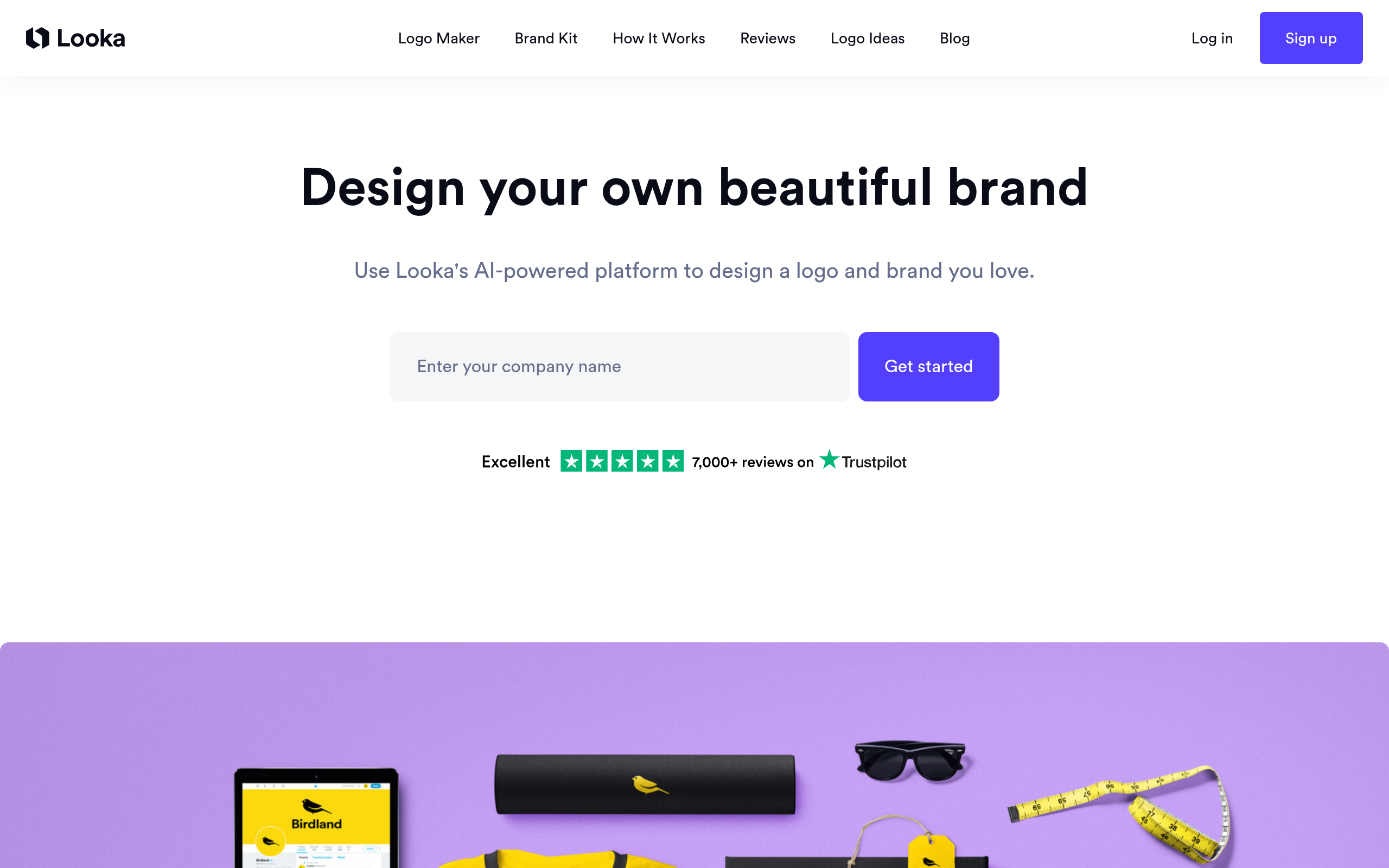Looka product screenshot
