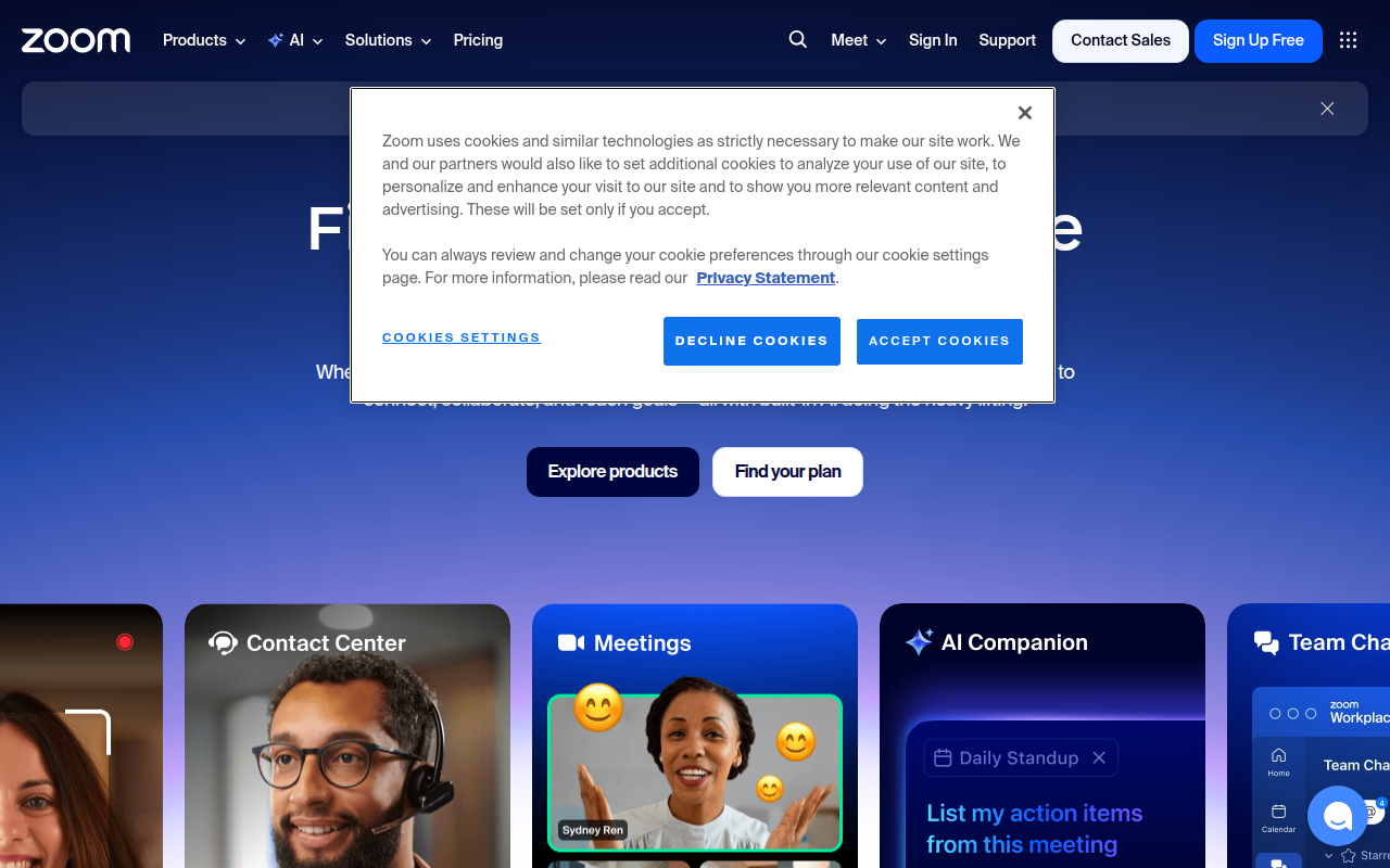 Zoom product screenshot